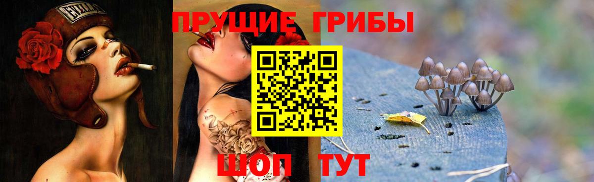 Галлюциногенные грибы мицелий Малгобек